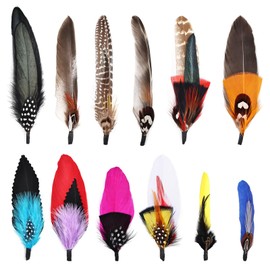 FeelfunFeather 12PCS Hat Feathers, Natural Colorful Feathers for Western Cowboy Hats,Christmas Party Hats,Fedora, Oktoberfest,Trilby Hats