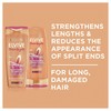L'Oreal Paris Dream Lengths Shampoo 300ml