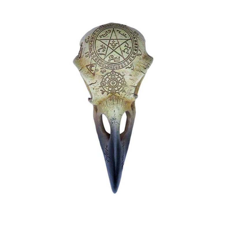 Gamital Alchemy Gothic Raven Skull - Omega | Fantasy Raven