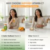 C-Salts Buffered Vitamin C Powder - Pure Organic, Stomach Friendly