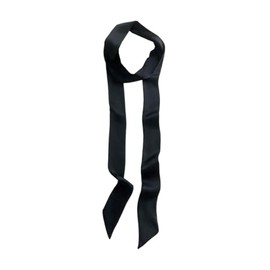 Verdusa Women's Satin Thin Scarf Elegant Lightweight Neck Scarf Black One-Size