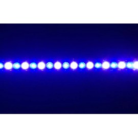21 LED Aquarium LED Light Bar 10" ReefBar Pro 50/50 Blue/12k 10x 3W Bridgelux 5 10 gal - Yes Please! (+$10), Power & SunSetter (sunset sunrise timer controller