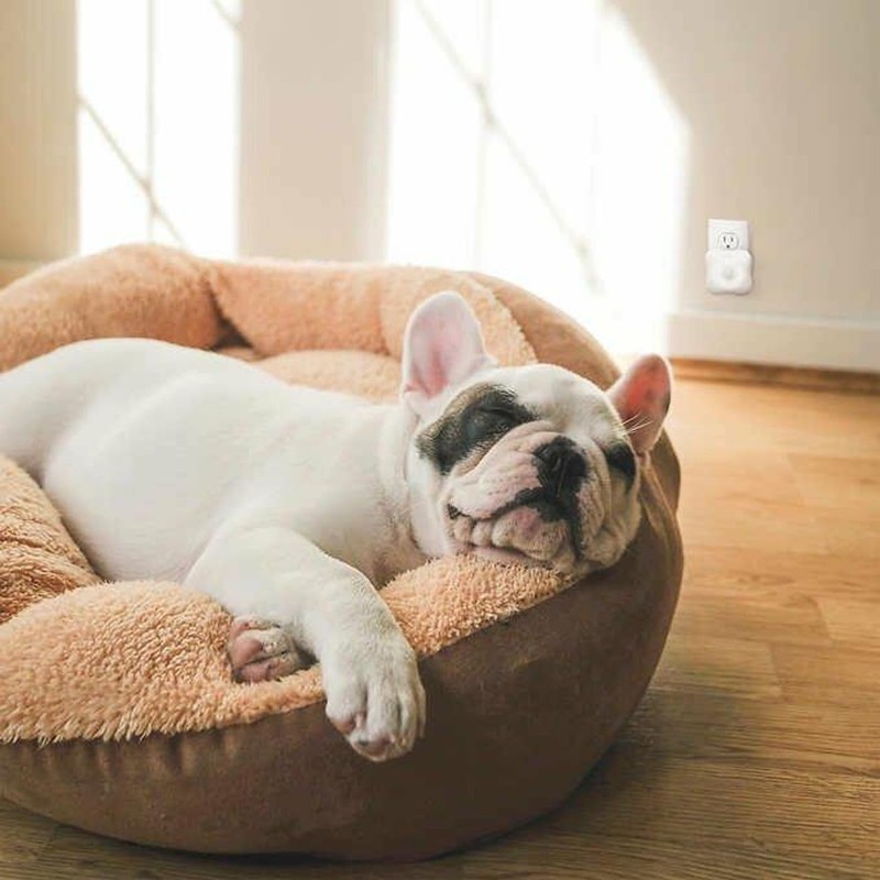 Homedics Total Clean Personal Air Sanitizer