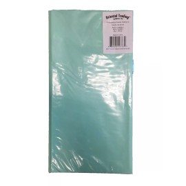 Fun Express Plastic Tablecover 54x108 Rectangle (Mint)