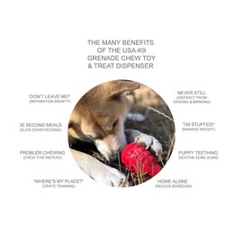 SodaPup USA-K9 Dog Toy- Natural Rubber Grenade Shaped Chew Toy - Treat Dispenser - Slow Feeder - for Heavy Chewers - Made in USA - Red - Large