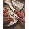 TRAMONTINA Big Table Fork, 8.7 inches (22 cm), Polywood