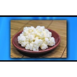 Kefir Grains - Living Probiotic Enriched