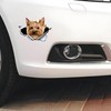 Car Sticker Yorkshire Terrier Sticker 18 cm (7.1 Inch) Yorkshire