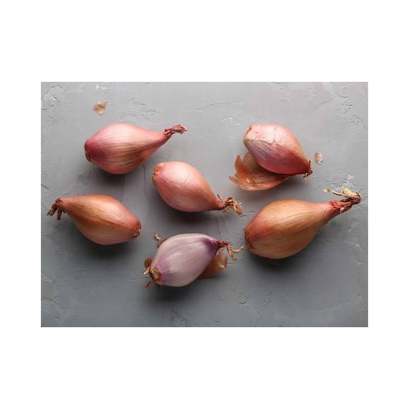 Generic Fresh Shallots, USA Grown, Non-GMO, Allium schoenoprasum (Sweet Onion),