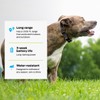 Premier Pet Dog Static Collar - 1000ft Dog Training Collar