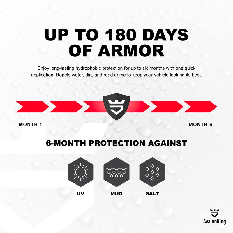 AvalonKing Armor Shield Lite Fast Ceramic Coating Spray – Ceramic