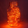 Hometown Evolution, Inc. Orange LED Fairy Lights - Plug in