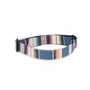 Third Eye Headlamps - Totally Awesome Headbands - Replacement Headlamp