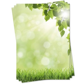LYSCO Design Letter Paper (Summer 5092, DIN A4, 25 Sheets) Green Meadow with Strong Fresh Leaves of a Birch in the Foreground
