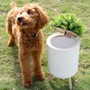 Earth & Mango Small Outdoor Trash Can with Lid -