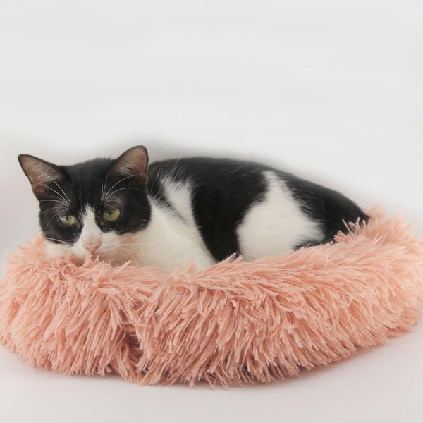 Drotayard 38 cm Cat Bed, Doughnut Bed for Deep Sleeping