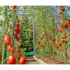 EcoStake 4ft Garden Stakes for Plants Vegetable Fence Post, 1/4"
