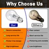 Kamrexi 6PCS 043168787963 78796 Halogen Light Bulbs, 43W 120V Light