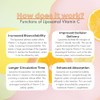Vitamina C Liposomal 60 Cápsulas - Suplemento Antioxidante para la