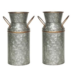 Hosley - Juego de 2 latas de leche galvanizada y dorada con forro de 23,5 cm de alto, añade encanto clásico a tu espacio con decoración rústica de granja y arreglos florales versátiles para el hogar