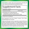 Vitamin World Ginkgo Biloba 120 mg., Herbal, Non-GMO