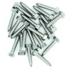 No.12 x 0.7 (5.5mm x 19mm) Hex Self-Tapping Screw -