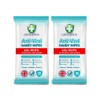 GreenShield Anti-Viral Handy Wipes 15's Kills 99.9% of Bacteria (2