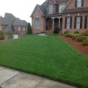 1 lb Falcons Tall Turf Fescue-A Three Falcon Blend Best
