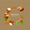 BotanyRoom® Almond Oil (100 ml) | Free from Colour and