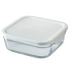 Iwaki Pack & Range Container