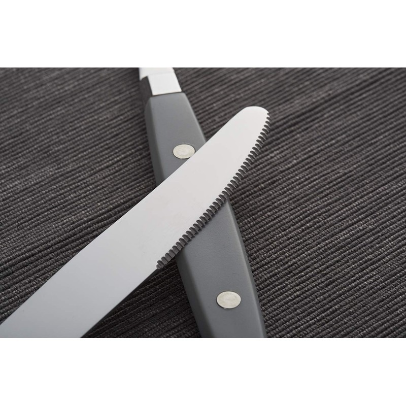 Annova Cutlery Set 20 Pieces Stainless Steel Color Handle with