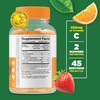 Lifeable Lifeable Probiotic 2 Billion CFU Kids + Vitamin C Kids, Gummies Bundle - Great Tasting, Vitamin Supplement, Gluten Free, GMO Free, Chewable Gummy