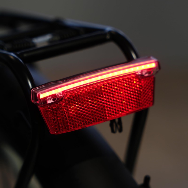Prophete Bike Light for E-Bikes Only, LED Tail Light with