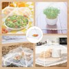 4 Pack Collapsible Mesh Food Covers – Pop-Up Net Protectors