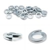 M10 (10mm) Spring Washer Set - Steel - Evelyne (Pack