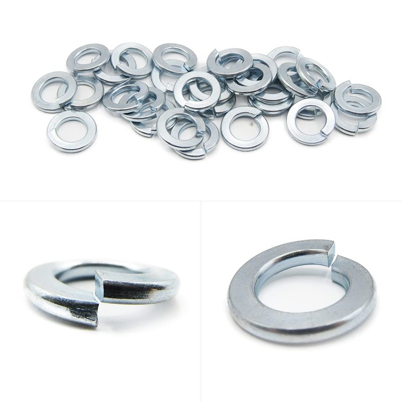 M10 (10mm) Spring Washer Set - Steel - Evelyne (Pack