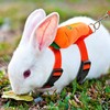 Bunny Harness and Leash for Rabbits,Bunny Vest Leash Eescape Proof