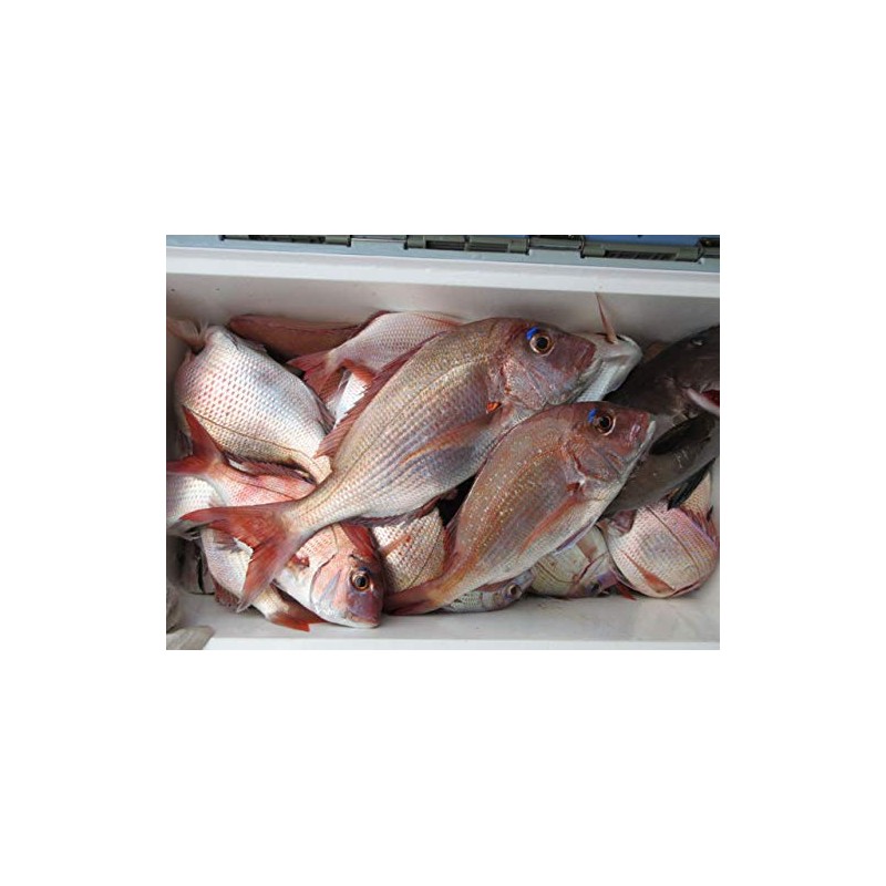 Heartland-k.k Tylava Tungsten Rainbow 45g 3pcs-80g 2pcs