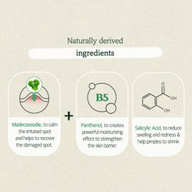 SKINFOOD Cica Clear Spot Patch (110count), Hydrocolloid AC Patch for Covering and Recovering Spot, Ultra Thin Clear Skin Sticker for Easy AC Care