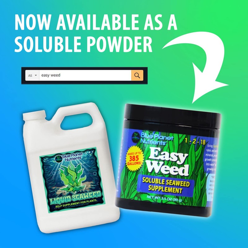 Liquid Seaweed for Plants (32 oz) Quart | Concentrated Liquid