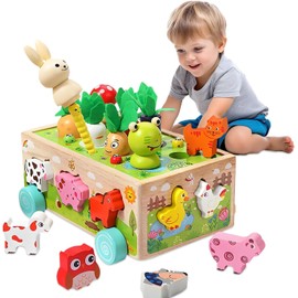 Juguetes Montessori para Niños, Juguetes Educativos, Juguete de Clasificación de Formas, Juego de Habilidades Motoras Finas de Aprendizaje Preescolar, Regalos de Navidad para Niños y Niñas