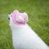 Leadigol Dog Hats - Mesh Pet Cap, Pink, Small, Summer,