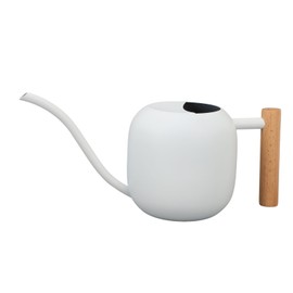 Indoor Watering Can Stainless Steel Wooden Handle Watering Pot with Long Spout for House Plants Flowers Succulents Bonsai 1.2L White