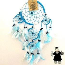 Smart Hippo Sky Blue Turquoise & White Football Dream Catcher