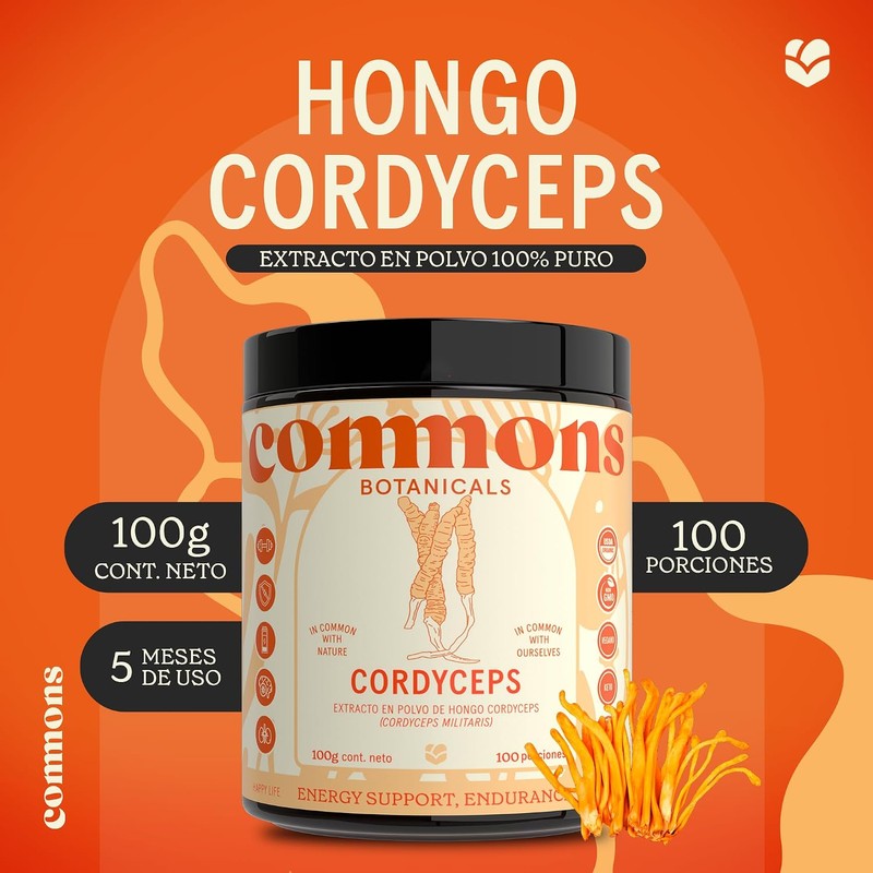 Commons Hongos Adaptógenos - Hongo Cordyceps - Extracto Puro en