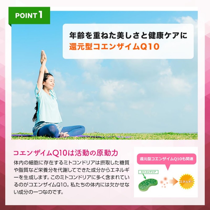 わたしのチカラ BEAUTIFLY 正規品 60粒 30日分 還元型コエンザイムQ10 ビタミンC サプリメント 国内製造