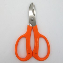 [Yoshida Cutlery] Basin Wood, Gardening Scissors, Made in Japan, Stainless Steel