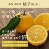 タマチャンショップ 美粉屋 みらいのこうそ 酵素パウダー 野菜果物発酵酵素 補酵素(ビタミンC) 麹 酵母 飲みやすい ゆず味