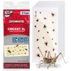 Catchmaster Cricket XL Giant Glue Boards 6-Pk, Adhesive Bug Catcher