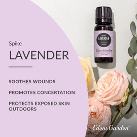 Edens Garden Lavender- Spike Essential Oil, 100% Pure Therapeutic Grade (Undiluted Natural/Homeopathic Aromatherapy Scented Essential Oil Singles) 30 ml